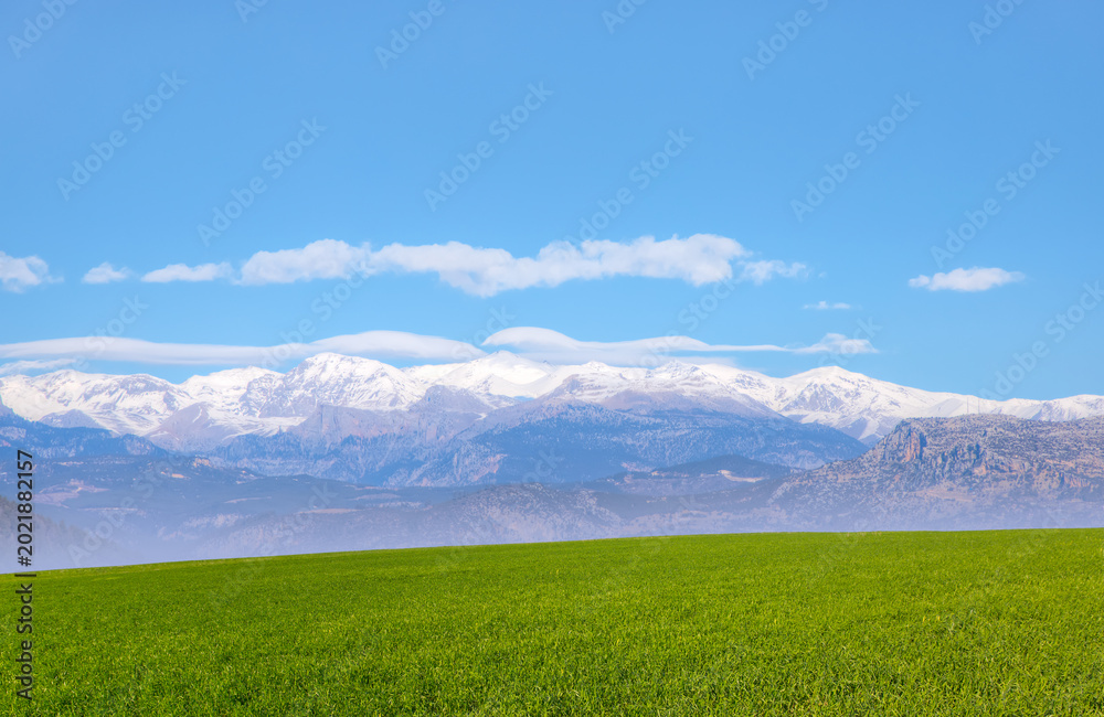 Obraz premium Panoramic view of Taurus (Toros) Mountains with green grass field - Adana, Turkey