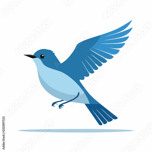 Blue Bird in Flight