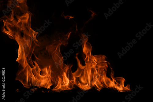 Vászonkép Fire flame burning and fire glowing on black background.