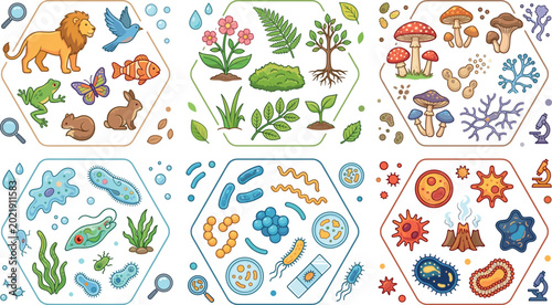 Obraz na plátně Biology Kingdoms Classification Illustration with Animals Plants Fungi Protists