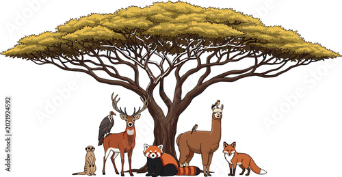 Photography Set of Stylized Wildlife Vector Illustrations Featuring Acacia Tree, Deer, Red P