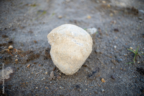 Single Pale Rock On Sandy Ground Close-Up Natural Stone Texture In Outdoor Landscape