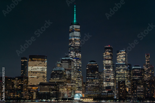 Schilderij op canvas Moonlit Lower Manhattan skyline and One World Trade Center in New York City
