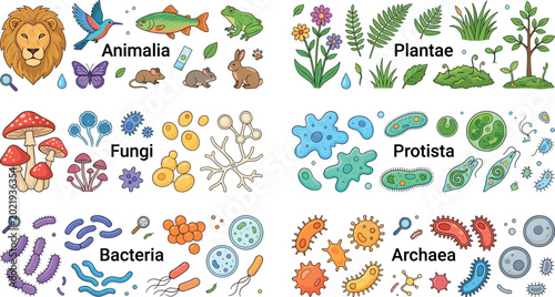 Tableau sur toile Six Kingdoms Biology Classification Set with Animalia Plantae Fungi Protista Bac