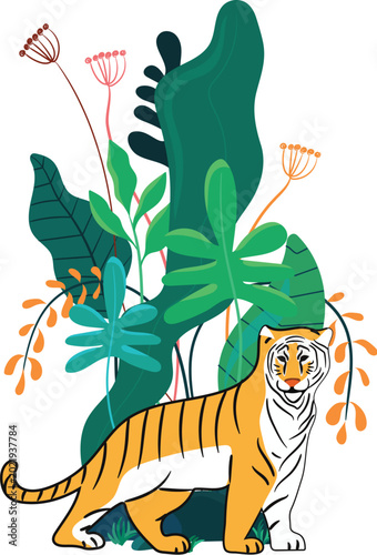 Photography tiger in the jungle
