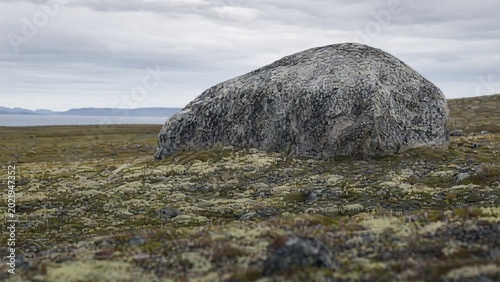 A massive glacial erratic rock embedded in a tundra landscape with lichen.