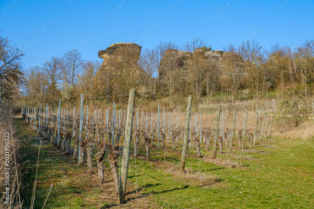 Fototapeta premium Königstein bei Westerhausen Felsformation