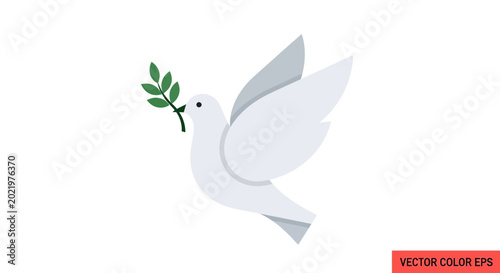 Obraz na plátně White Dove with Olive Branch