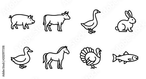 Bild auf Leinwand Butcher and farm animal outline icon pack featuring meat sources including poult