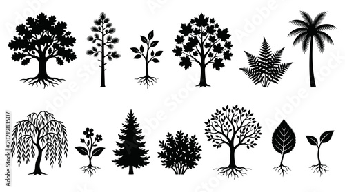 Tablou pe pânză Black and white of various types of trees and plants isolated pine