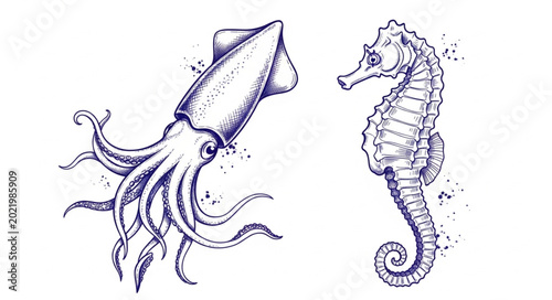 Schilderij op canvas Hand Drawn Squid and Seahorse Illustration.