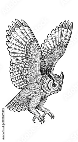 Flying Owl Illustration Isolated Transparent Background