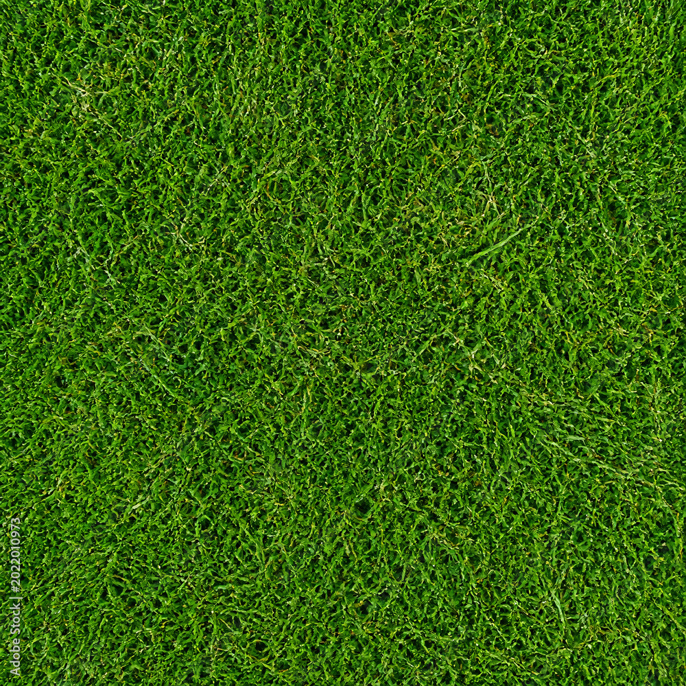 Top view of lush green grass texture background