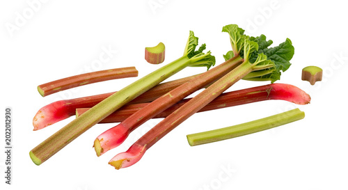 Fresh Rhubarb Stalks Isolated With Green Leaves and Red Stems Vibrant Color