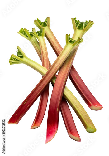 Fresh Rhubarb Stalks Isolated Transparent Background Food Ingredient