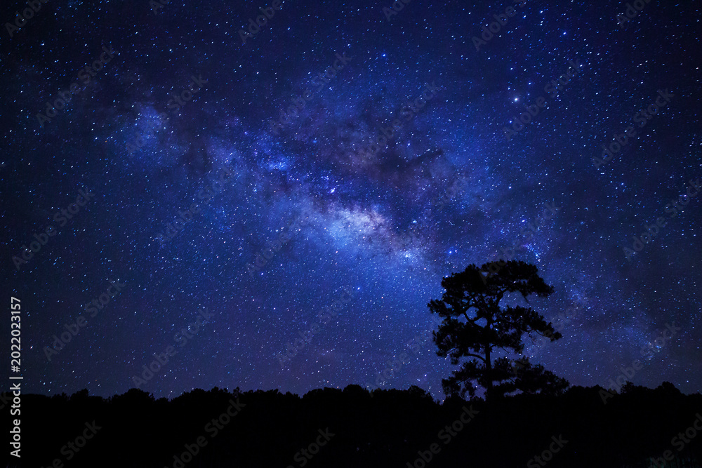 Obraz premium Silhouette of tree at Phuhinrongkla national park and night sky space background, Starry universe in dark blue sky, Milky way galaxy with stardust field in deep universe