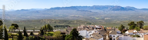 Buildings in the historic center of the city of Baeza in the province of Jaen, Spain