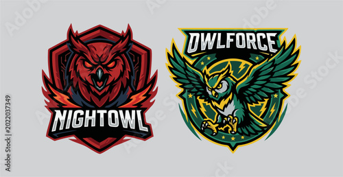 Cuadro en lienzo Set of Two Fierce Owl Esports Mascot Logos for Nightowl and Owlforce Teams