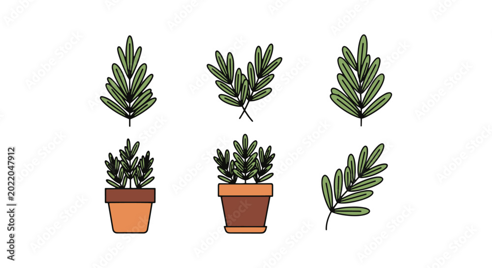 Fototapeta premium Rosemary Line art vector set minimal abstract illustration