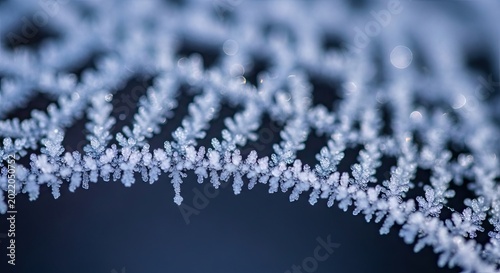 Frozen delicate frosty leaf structure closeup.