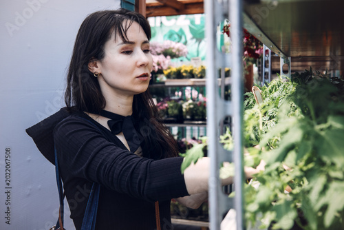 Принти на полотні Young woman selects leafy green plants from metal shelf at outdoor garden market