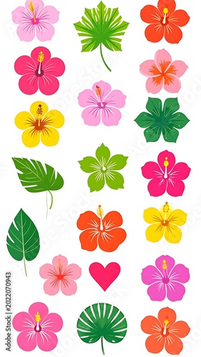 Colorful flowers and leaves arrangement.