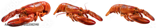 Foto Three cooked red lobsters isolated on a transparent background