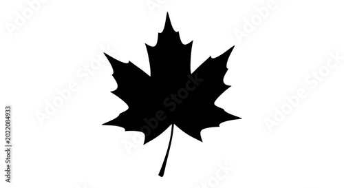 Fotografie Black Silhouette Maple Leaf Icon on White Background, Canadian Symbol