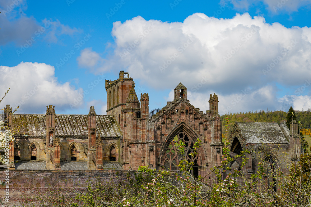 Obraz premium A view of the ruins of Melrose Abbey, a famous medieval monastery in the Scottish Borders region