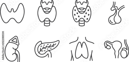Cuadro en lienzo Medical icons representing human endocrine system organs like thyroid adrenal gland pancreas ovaries pituitary