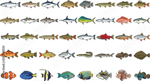Slika na platnu Colorful Freshwater and Saltwater Fish Species Collection Set with Detailed Illu