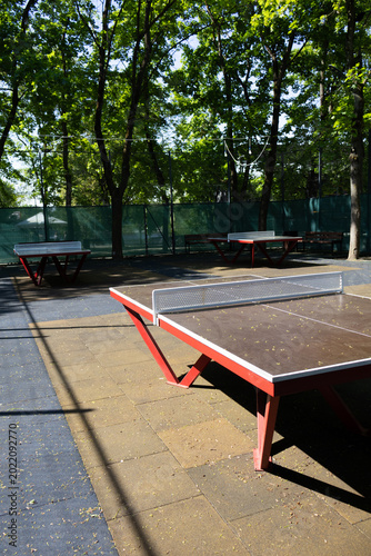 Perspective view of a durable outdoor ping-pong table with a metal net, located in a recreational area surrounded by trees.