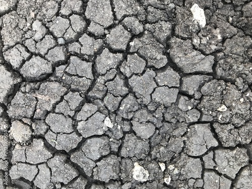 Obraz na płótnie Dry and Cracked Soil Texture Global Warming and Drought Concept