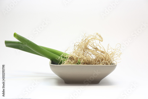 Foto 파뿌리,대파