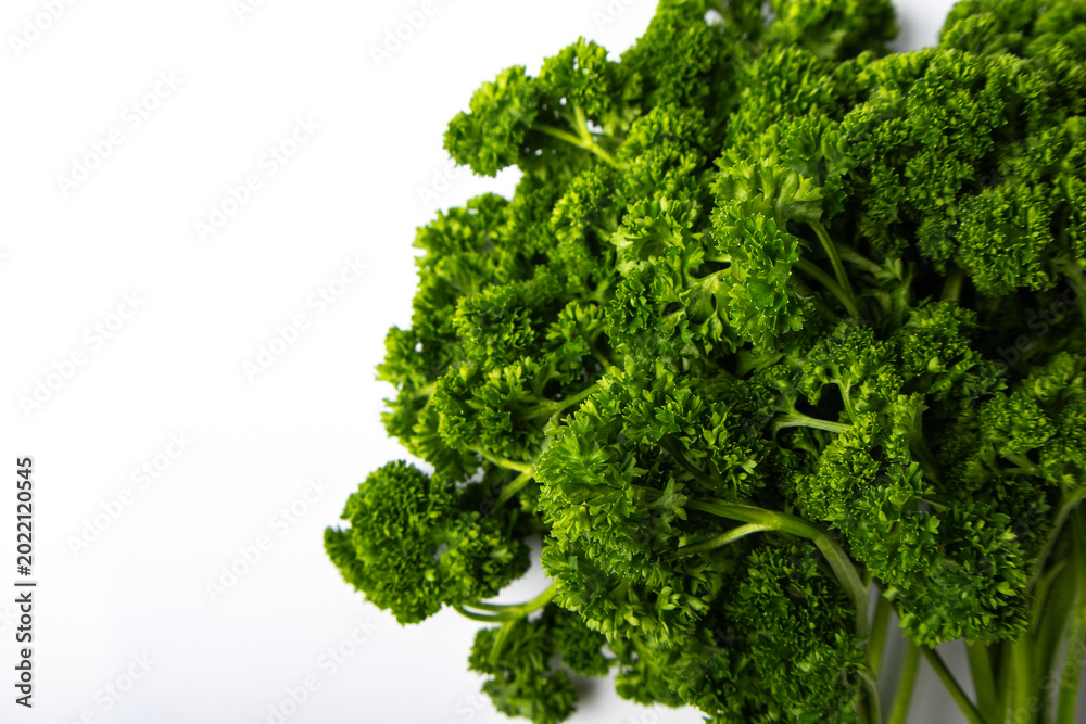 Fototapeta premium Fresh curly parsley bunch on white background