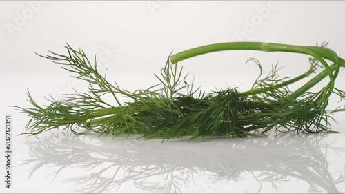 Fresh aromatic Dill bouncing on a white tabletop in slow motion close up macro before settling.