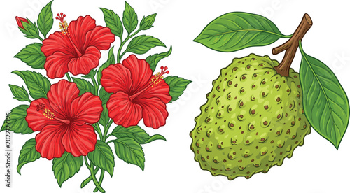 Canvastavla Tropical botanical vector set with blooming red hibiscus flowers bouquet and who