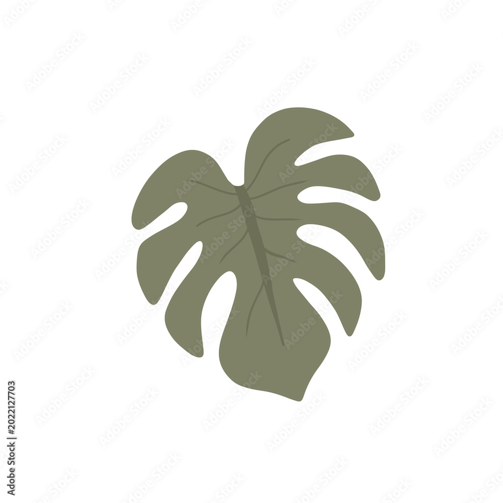 Fototapeta premium Tropical monstera leaf with unique shapes Hand drawn illustration. Minimalist flat exotic foliage isolated on white background.