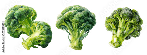 Tableau sur toile Fresh green broccoli florets forming a vibrant watercolor illustration, symboliz