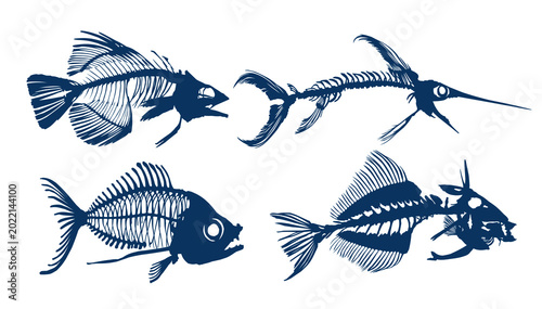Canvastavla A Set Skeletons of predatory sea fishes.