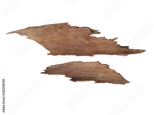 Photos Brown abstract map style texture design white background