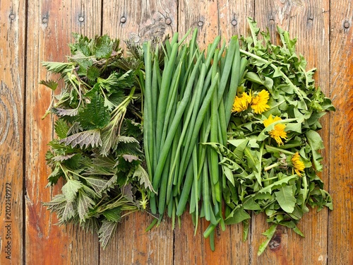 Greens from the garden: nettles, onions, and dandelions. A green harvest on the table.