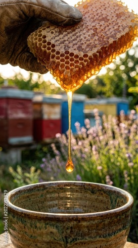 Honey dripping from honeycomb into bowl at apiary