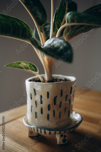 White handmade ceramic flower pot with blue stripes on a small legged stand.