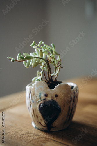 Cute mini handmade ceramic flower pot with bear ears and a painted face.