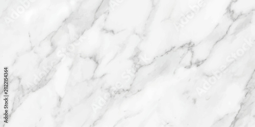 Obraz na płótnie A beautiful abstract background featuring a closeup of white snow and frozen fro