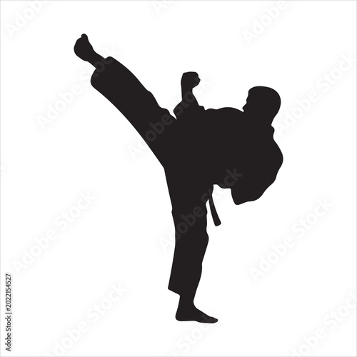 Martial artist performing high kick silhouette flat vector illustration