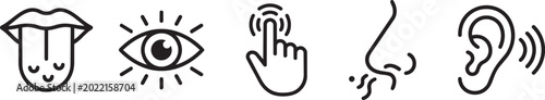 Fotografía five human senses line icons set vector illustration