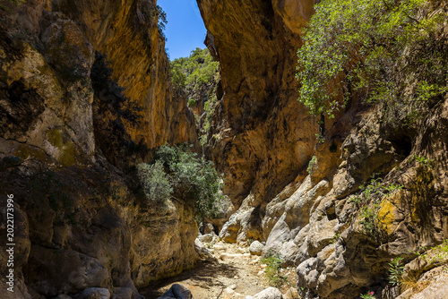 Dramatic limestone canyon walls rising above a hiking trail in a rocky gorge