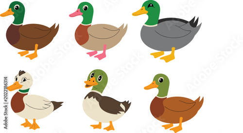 Tableau sur toile Cute Mallard Duck Character Collection with Friendly Expressions and Various Col